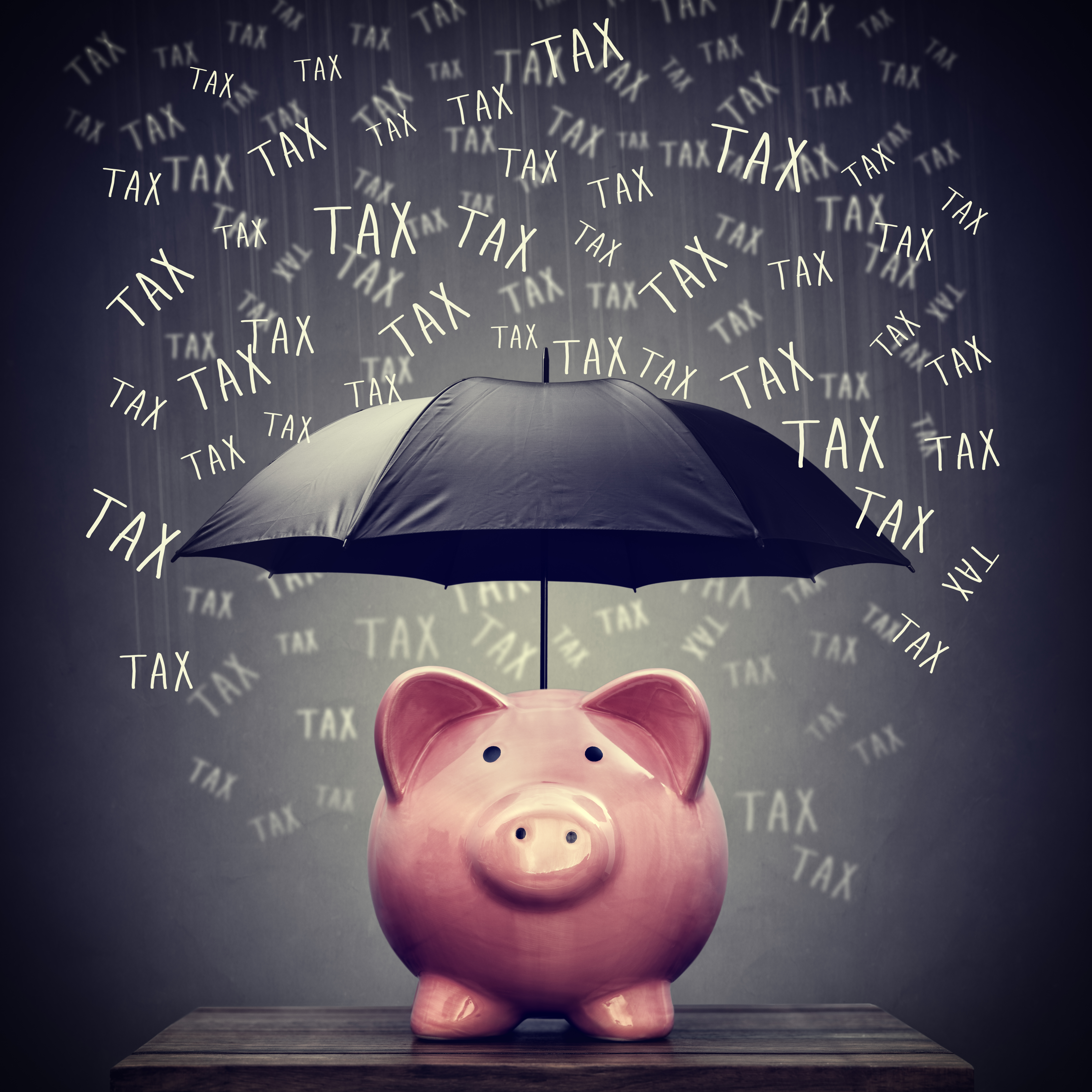 Small Business Tax Preparation v. Tax Planning